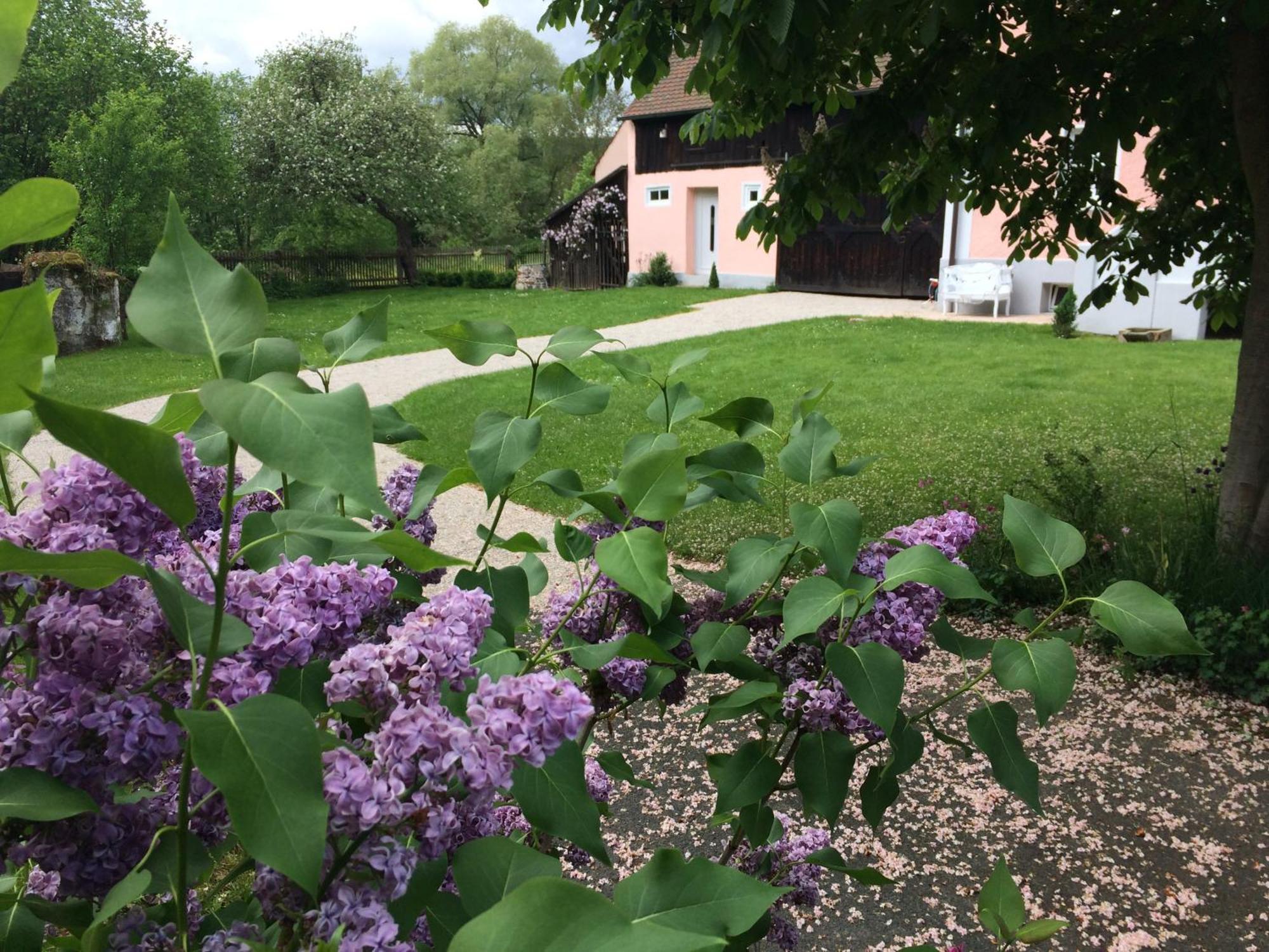 Landhaus Am Schloss Schnabelwaid Екстер'єр фото